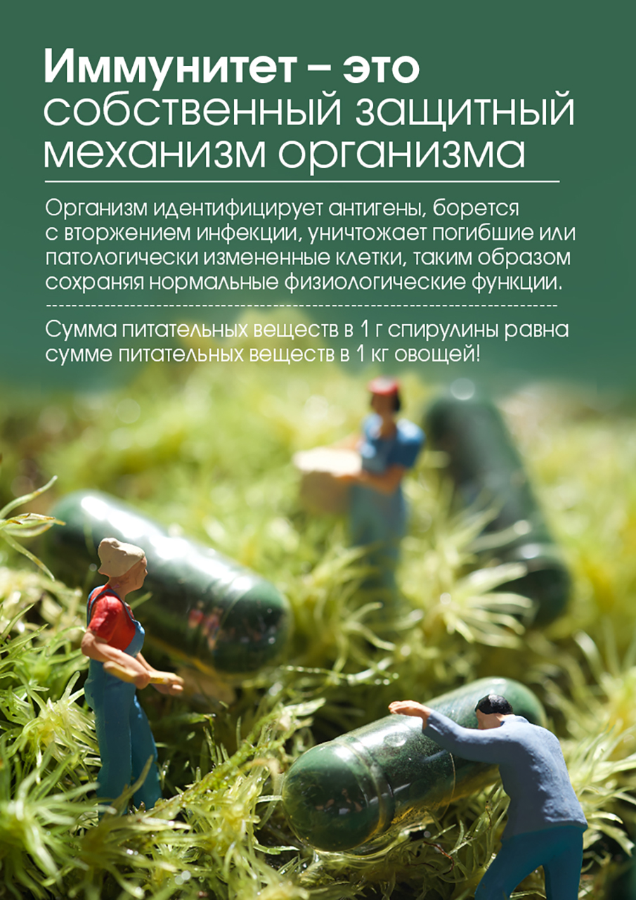 БАД к пище «СПИРУЛИНА В КАПСУЛАХ «ТЯНЬШИ»|tiens|RU